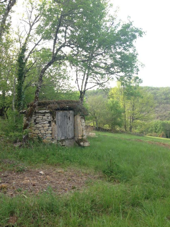 Гостевой дом La Roulotte Clerelu - Du Domaine Des Ramonets Каор Экстерьер фото
